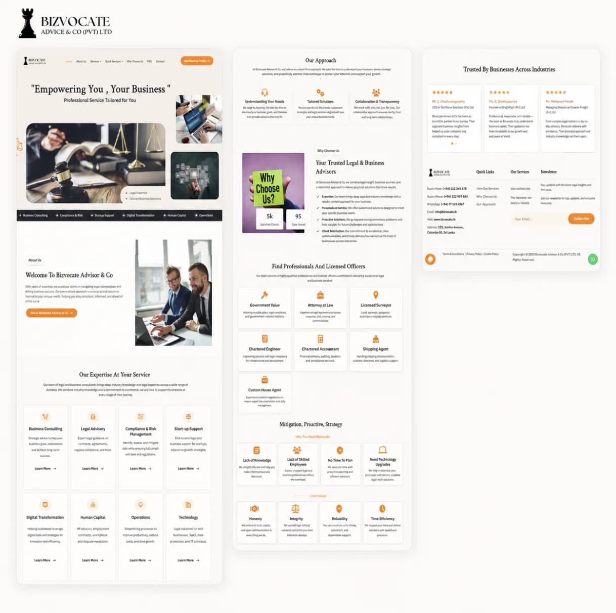 Bizvocate Advisor & Co Service Experience